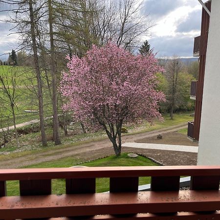 Koenigs Appartement Mit Pool Schluchsee Esterno foto