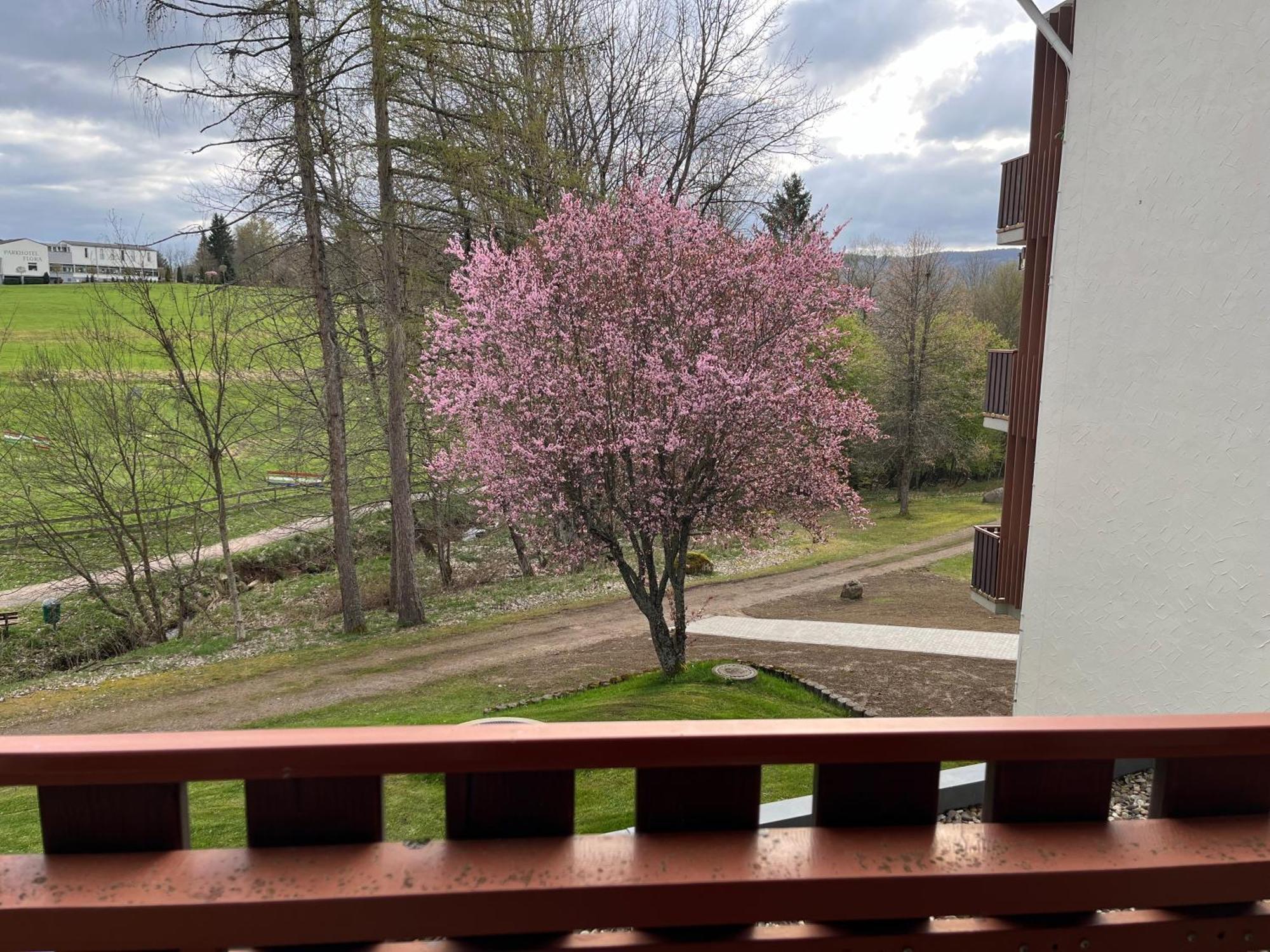Koenigs Appartement Mit Pool Schluchsee Esterno foto
