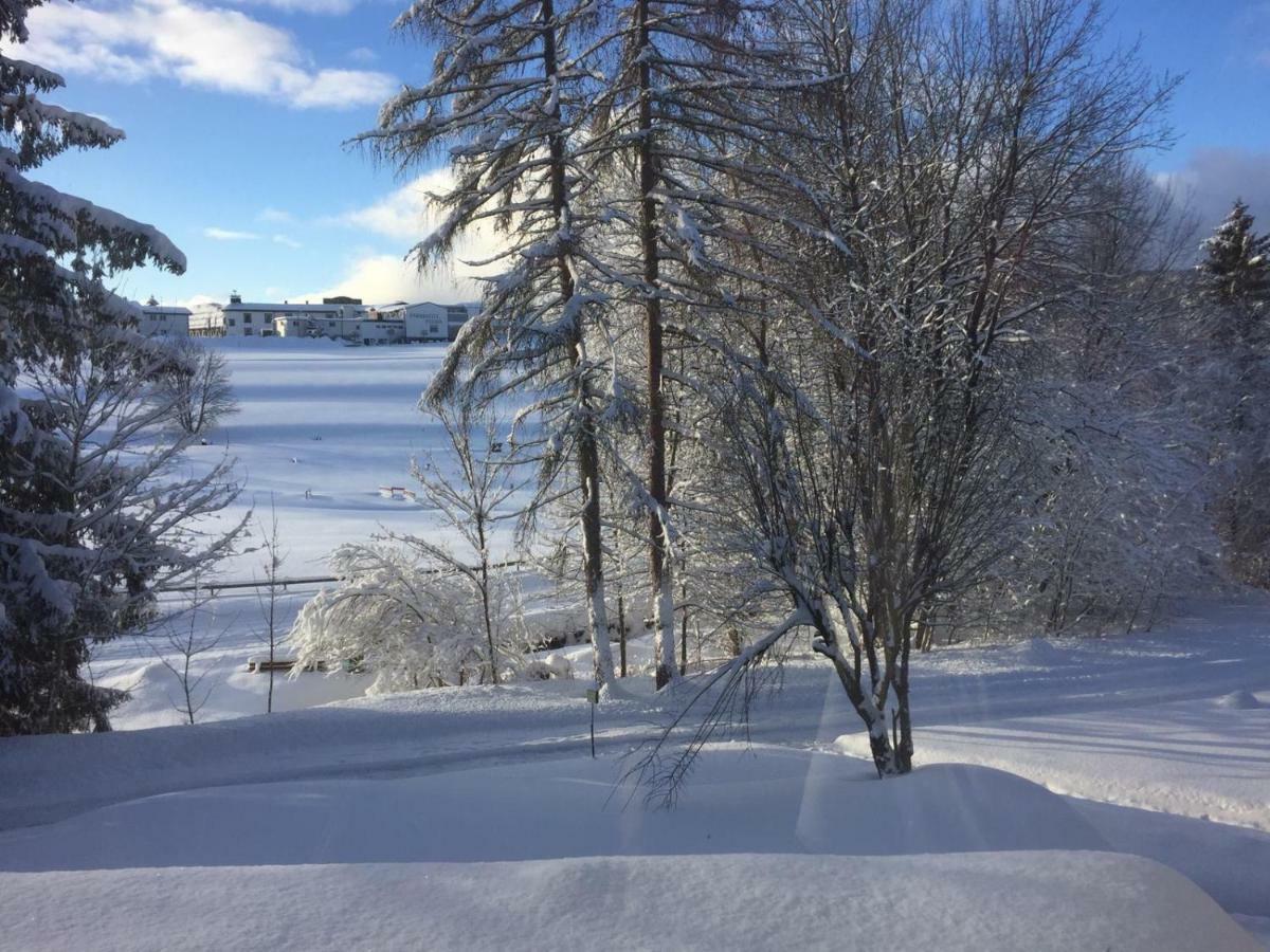 Koenigs Appartement Mit Pool Schluchsee Esterno foto