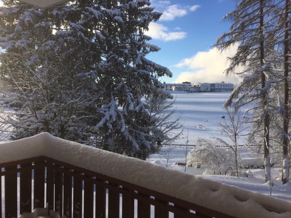 Koenigs Appartement Mit Pool Schluchsee Esterno foto
